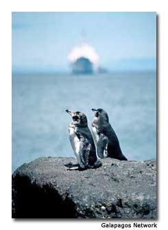 The area is a paradise for birdwatchers.