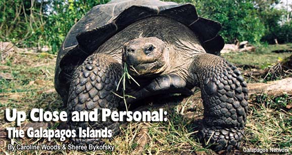Up Close and Personal: The Galapagos Islands