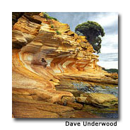 Travel to Tasmania with Qantas