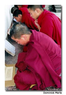 Young monks pray at a Sikkim temple.