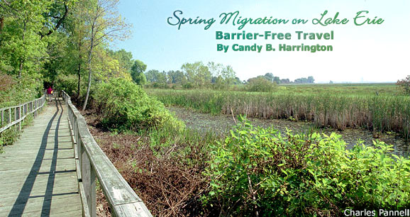 Spring Migration on Lake Erie