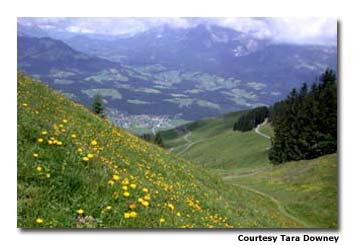 The Austrian Alps offer a colorful backdrop for skydiving.