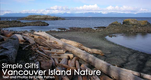Simple Gifts:  Vancouver Island Nature