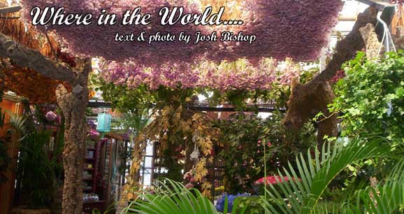 Where in the World?