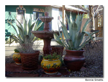 Spin and Margie's Hideaway courtyard