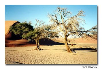 Sossusvlei region