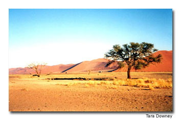 Namib-Naukluft National Park