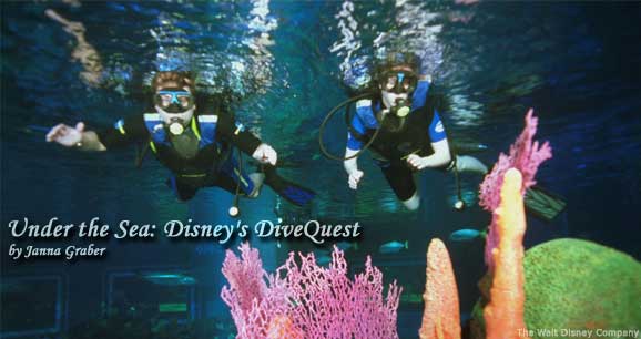 Diving with DiveQwest at Disney World