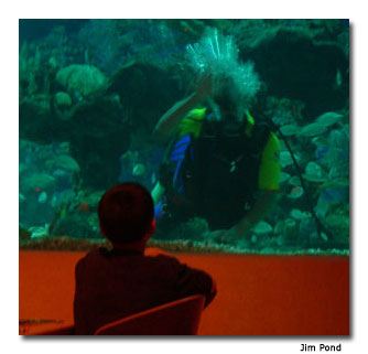 Disney DiveQuest