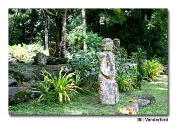 The largest tikis in the Pacific can be found on Hiva Oa.