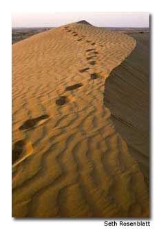 Footprints in the sand are a common sight since the dunes are heavily trafficked.