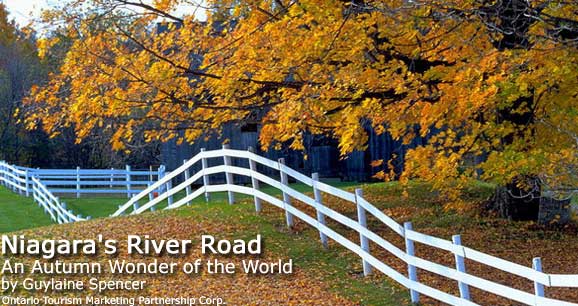 Niagara's River Road