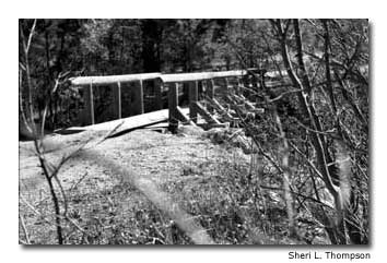 Estes Park Footpath
