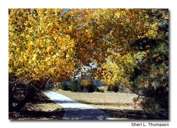 Autumn in Estes Park.