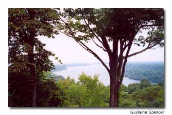 Queenston Heights
