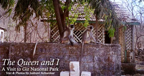 The Queen an I: A Visti to Gir National Park
