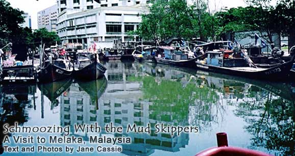 Schmoozing With the Mud Skippers: A Visit to Melaka, Malaysia