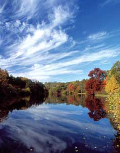 Morton Arboretum