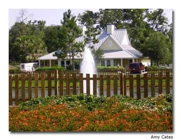 The Village