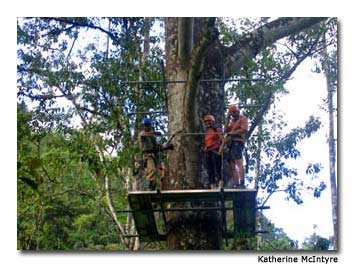 Soaring over the forest on a zip line is among the lodge activities.