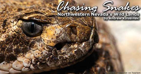 Chasing Snakes: Northwestern Nevada's Wild Lands
