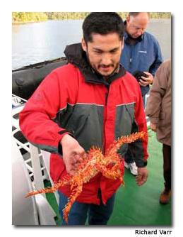 Guide Rodrigo Mansilla shows off a crab.