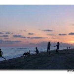 Hawaiian sunset