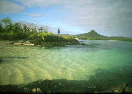 Our destination was the Galapagos Islands a remote region of the world just