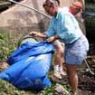 Oahu Clean-up