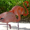 Aruba