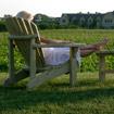 Ontario Wine