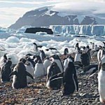 On a Russian Spy Ship to Antarctica