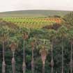 Adelaide Barossa Valley
