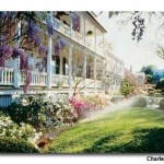 Charmed by Charleston