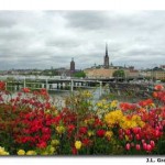 Summer in Stockholm