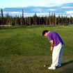 Fairbanks Gold