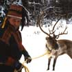 Lapland Christmas