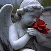 Paris Cemeteries