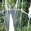 Taman Negara