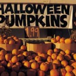 Halloween at the B&B