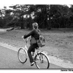 It's so quiet at De Hoge National Park that the sound of your bike is all you hear.