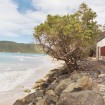 Cinnamon Bay Archeology House and Beach