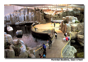 Visitors explore the St. Lawrence marine ecosystem at the Montréal Biodôme.