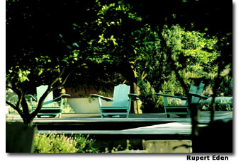 Tropical garden at Pálacio Belmonte.