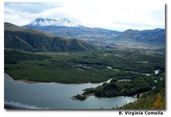 The Cascade Range offers beautiful views. 