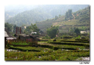 Village Life: Vietnam’s Hill Tribes