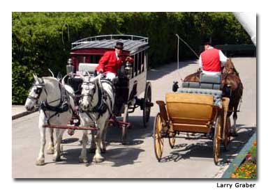 Taxi drivers on Mackinac Island take a break.