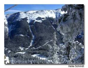 Taos has a lot to offer for expert skiers.