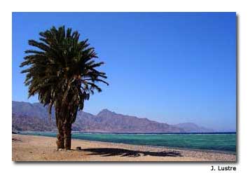 Dahab, the base camp for most who hike Mt. Sinai,faces the Gulf of Aqaba.