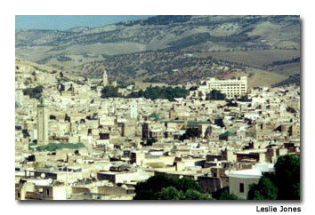 Fez stretches out for miles in all directions in a complex maze of residences, mosques, tanneries, food booths and shops.